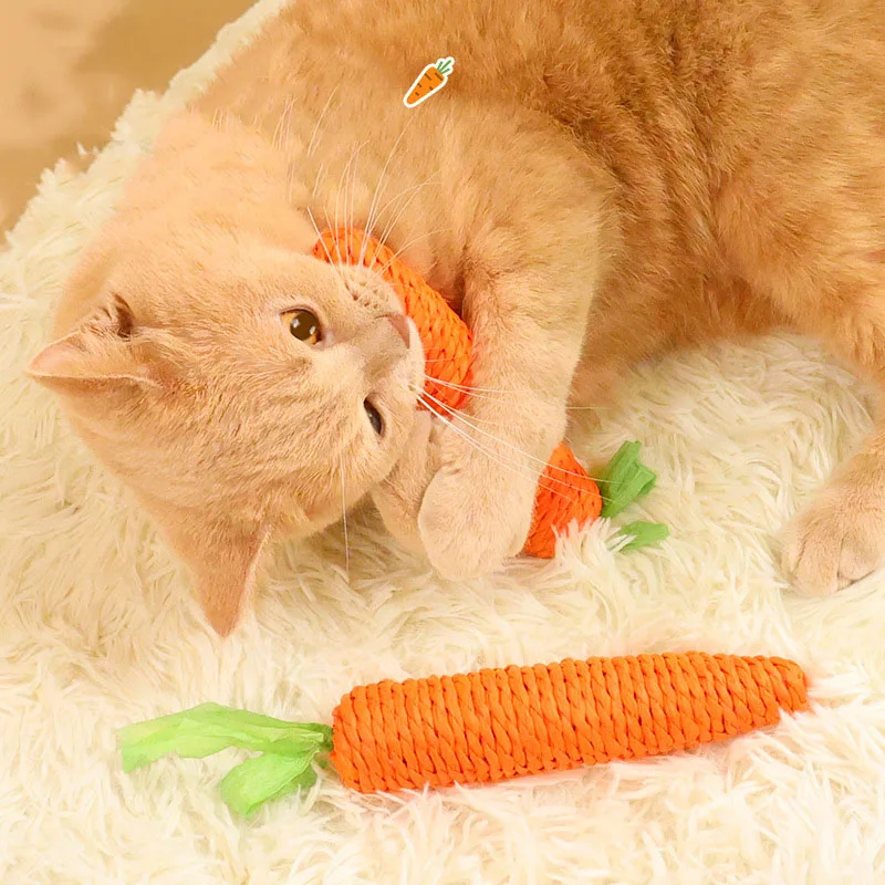 #17 Cheap Cat Toys Worth Buying