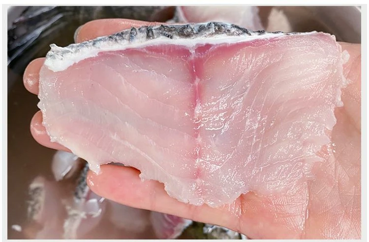 Sashimi Slicer Fish Cutting Machine Salmon Slicer Tilapia Catfish Mandarin Fish Fillet Machine Fish Processing Machine For Sale