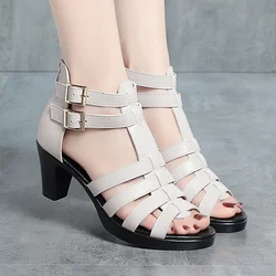 Women's Open Toe Fish Mouth High Heel Sandals Summer New 2024 Elegant Fashion Narrow Band Waterproof Platform Sandals