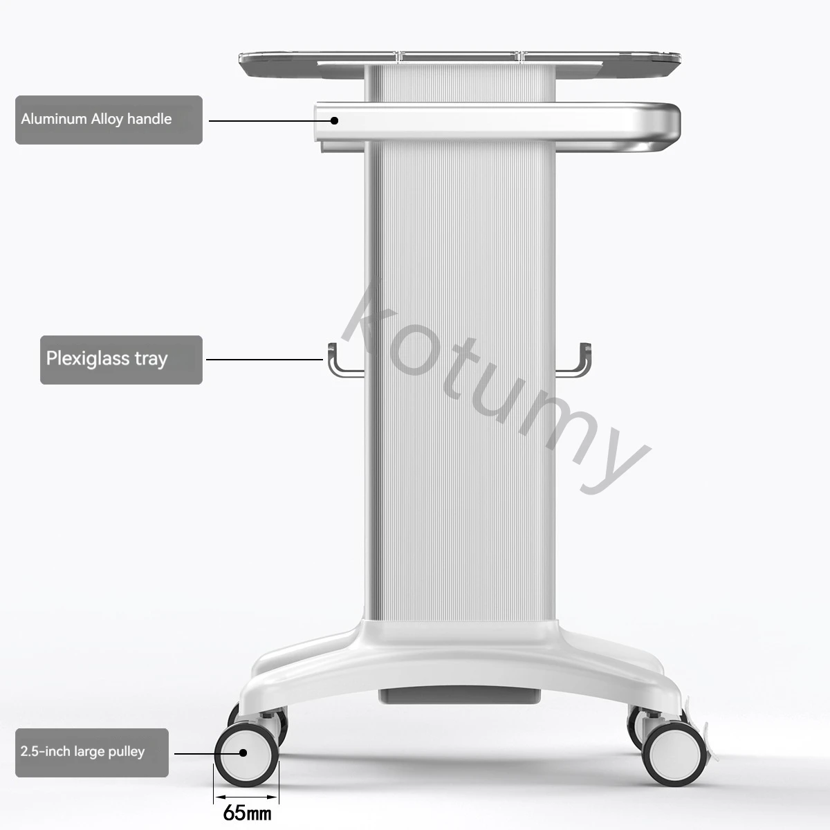 Chariot à Roulettes en Aluminium pour Salon de miles, Support d\'Équipement, Pièces d\'Appareils de Soins Personnels