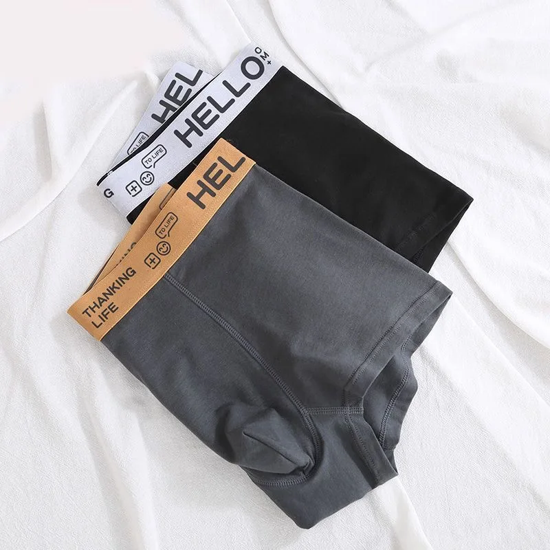 Boxers Men\'s Panties Underwear Comfortable Man Cotton Underpants Cuecas Calzoncillos Breathable Boxershorts Lot Plus Size L-4XL