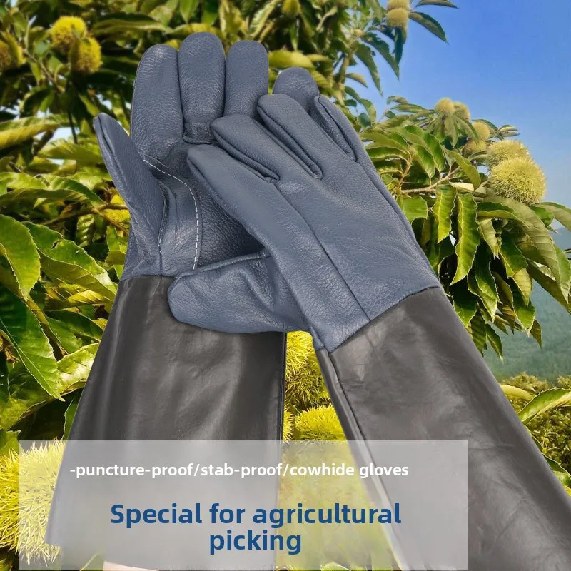 Protective Cowhide Puncture Resistant Stab Proof Gardening Gloves Thorn Proof Anti Prick for Rose Pepper Chestnut Harvesting