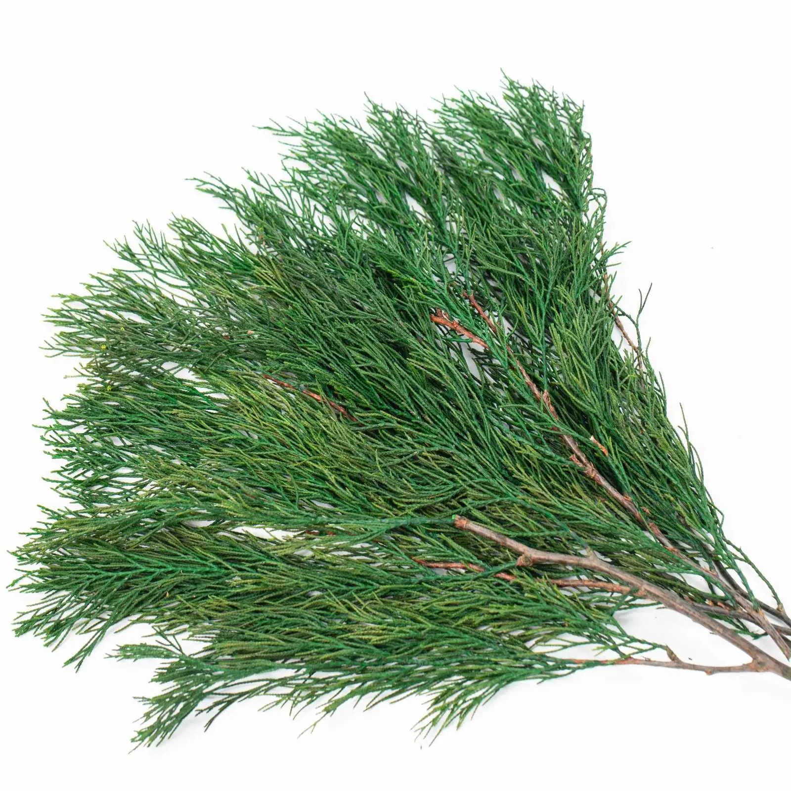 

Real Pine Leaves Branches, Natural Greenery Plant, Garland Wreath, Xmas, Wedding, Home Party Decor, Christmas Decoration