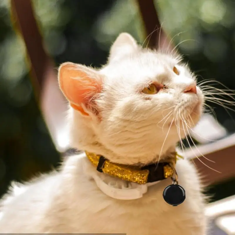 Traqueur d'animal de compagnie pour chats, suivi mobile, détecteur intelligent GPS, détecteur d'articles, portable, mini appareil anti-perte intelligent