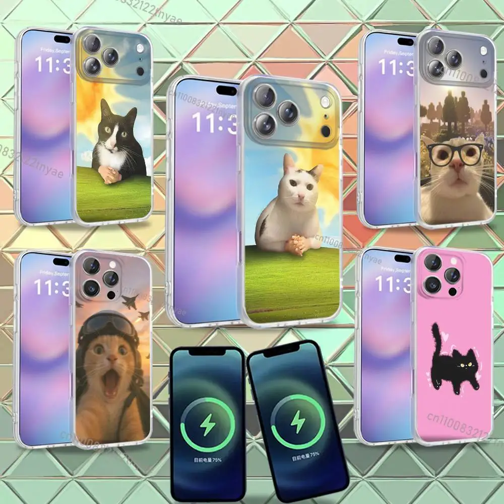 

Cute Cat Meme Phone Case For iPhone 16,14,11,17,13,15,12,Air,Plus,Pro,Max,E,Mini Frosted for MagSafe Magnetic Wireless