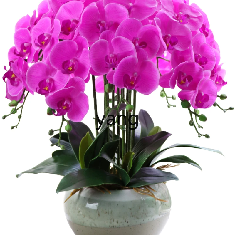 Yjq Feel Simulation Phalaenopsis Plastic Flowers Decoration Living Room Fake Flower Bonsai Decoration High-Grade Moisturizing