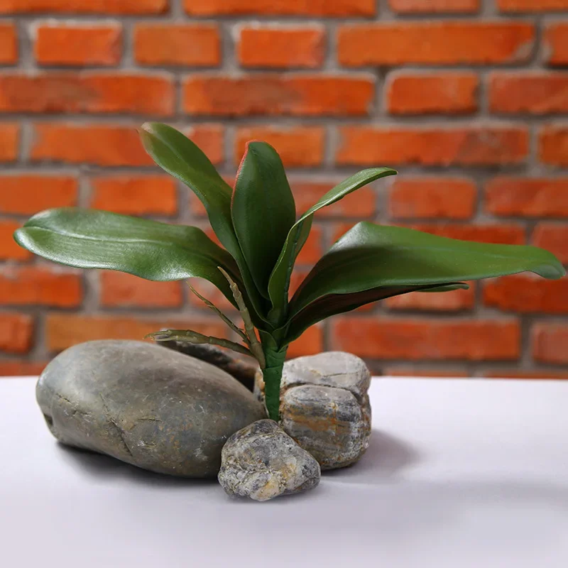 1pc Artificial Plants Real Touch Phalaenopsis Leaf Decorative Flowers DIY Auxiliary Material Flower Decoration Orchid Leaves - Image 5