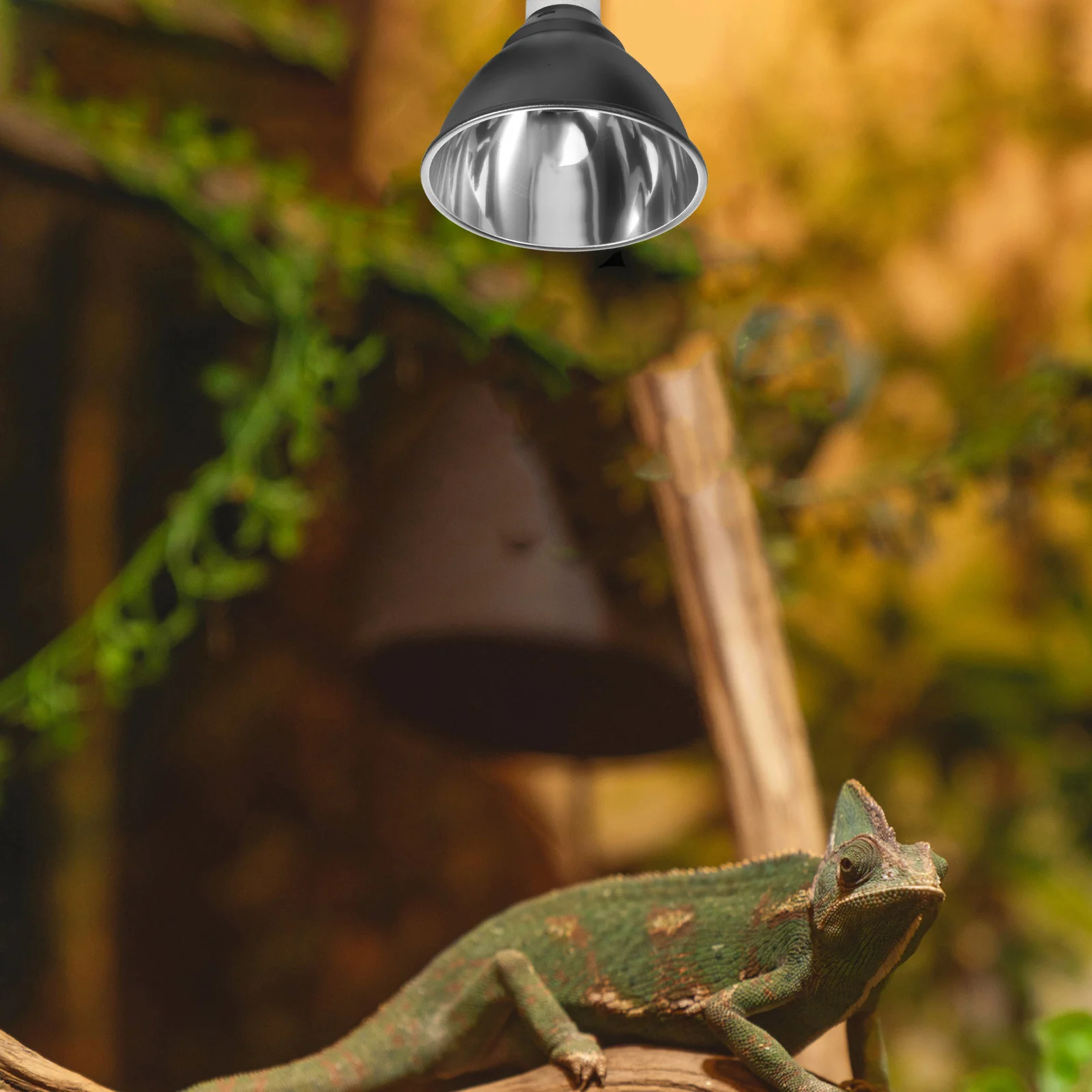 

Reptile Heat Lamp Fixture Dome Lighting For Aquarium Terrarium Basking Bulb Socket Uv Resistant High Efficiency Safety
