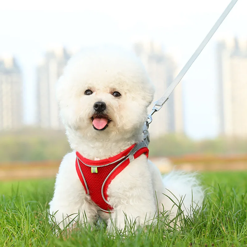 New cat vest-style chest strap dog reflective breathable leash small and medium-sized dog walking leash pet supplies