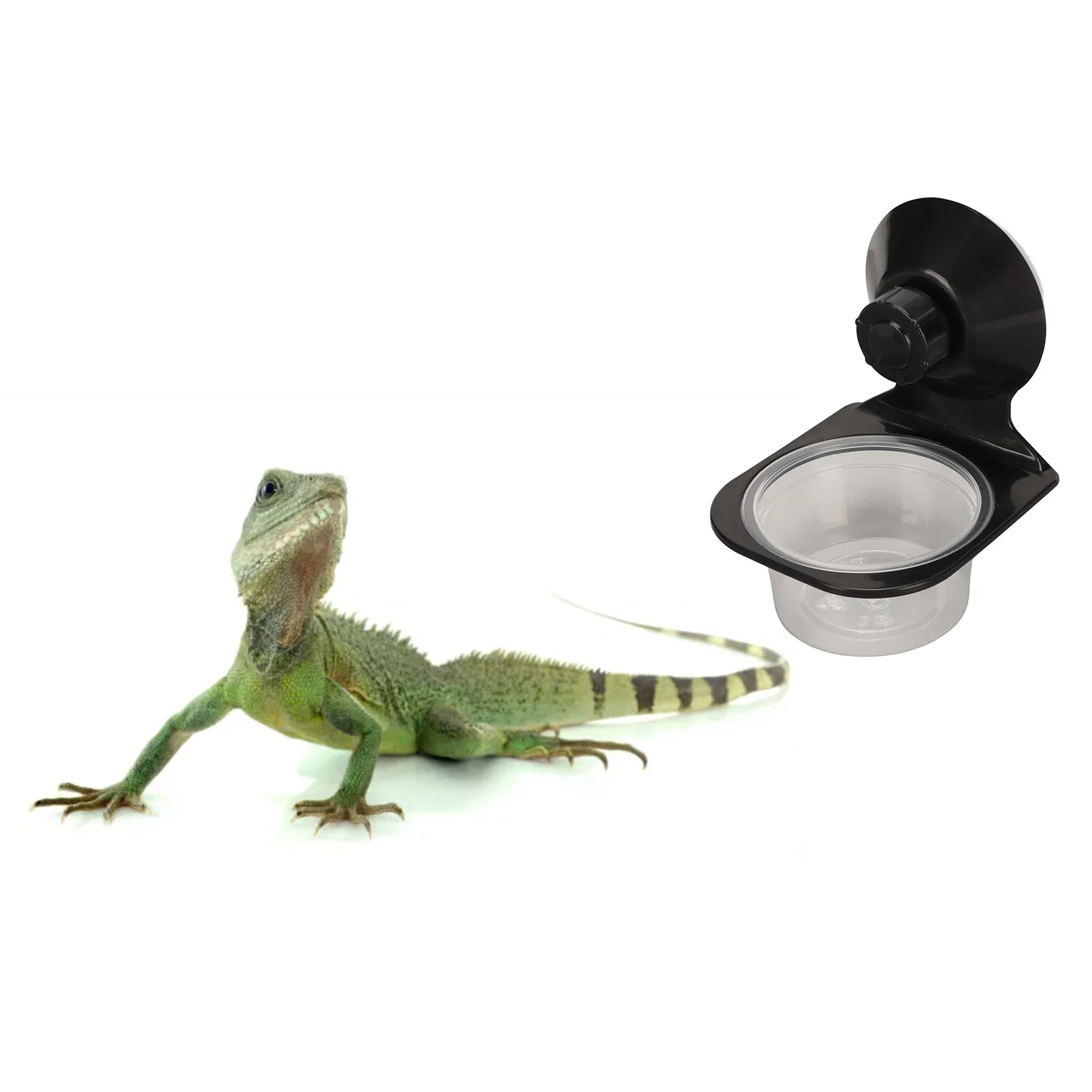 Thumbnail 4 - #37 Reptile Water Bowls Price Drop Alerts
