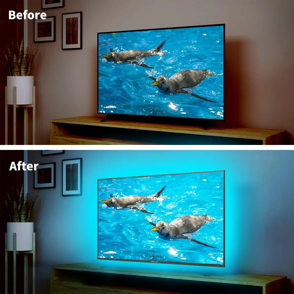 1 Reel of 3535 LED Strip Lights with 24key Remote Control, Battery Box Powered (Without Batteries) For Bedroom, Party