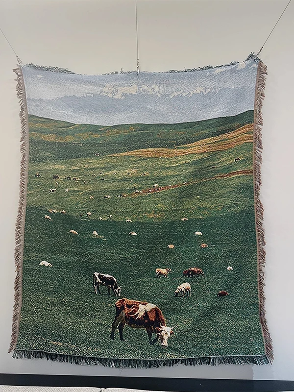 

Вязаное одеяло-плед Fre Forest Sle для спальни, настенное, с узором «Колоривд» и узлами, современное, простое, всесезонное