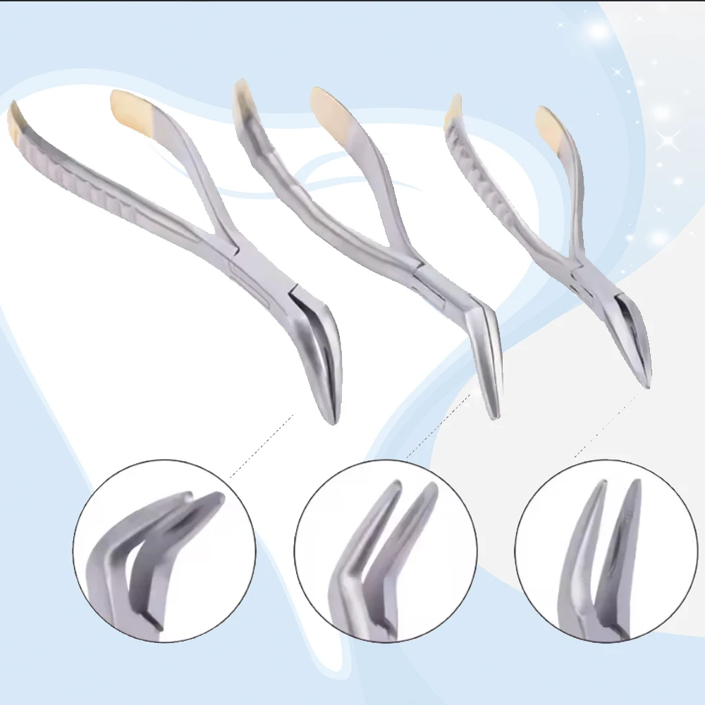 

Dental Root Fragment Extraction Forceps Curved for Maxillary and Mandibular Teeth Surgical Instrument