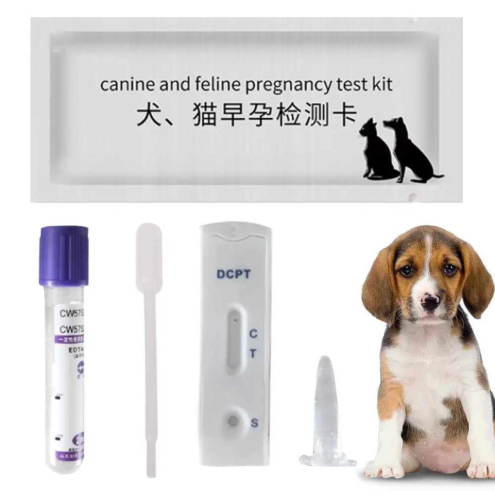 Home Dog Pregnancy Test Kit 15 Minutes Rapid Testing Serum or Venous Blood Test Suitable for All Large, Medium and Small Dogs