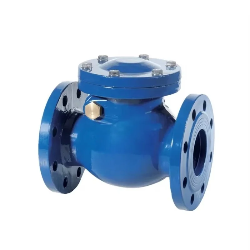 DN50~ DN800 Pornd 150~ 800 Adjustable Stainless Steel Swing Check Valve Type