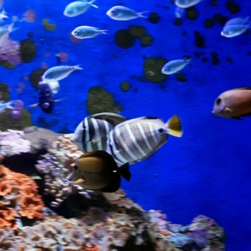 

Шины/колеса/шины для MJX Hyper Go 20208 MINI 1/20 R/C автомобилей/грузовиков запасные части