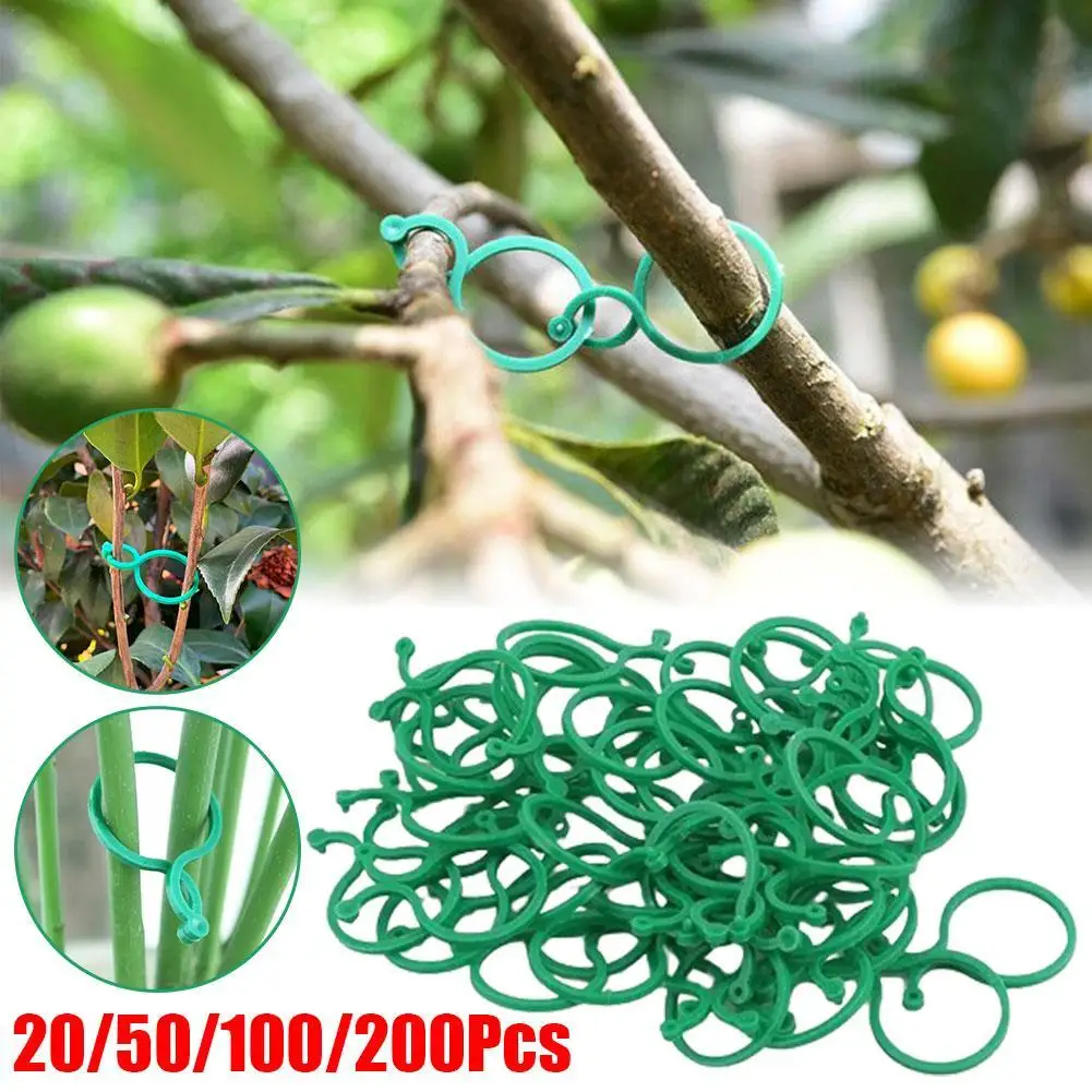 

50/100/200Pcs 8 Word Buckle Vine Tying Clips Fixing Bracket Garden Plant Holder Plant Climbing Wall Clips Garden Decoration