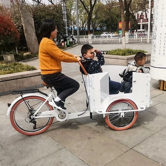 

Electric Cargo Tricycle With Wooden Box Cargo Kids Bike Family Used