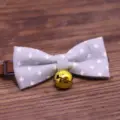 Púrpura