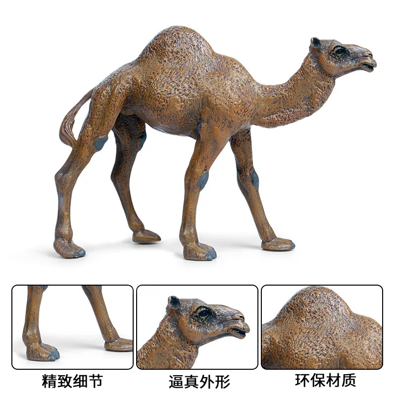 Simulated animal plastic model pendulum camel solid static model big single humped camel children\'s animal toy