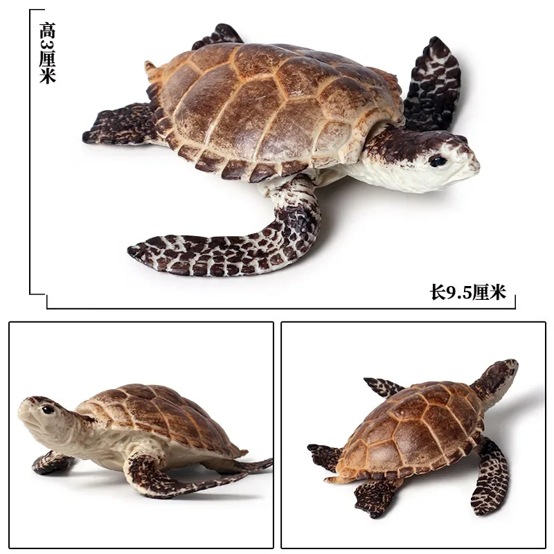 Figurines d'action d'animaux marins pour enfants, tortue à oreilles coulissantes, figurine d'amphibiens, modèle Auckland, roman, jouets en plastique, cadeau d'ornement