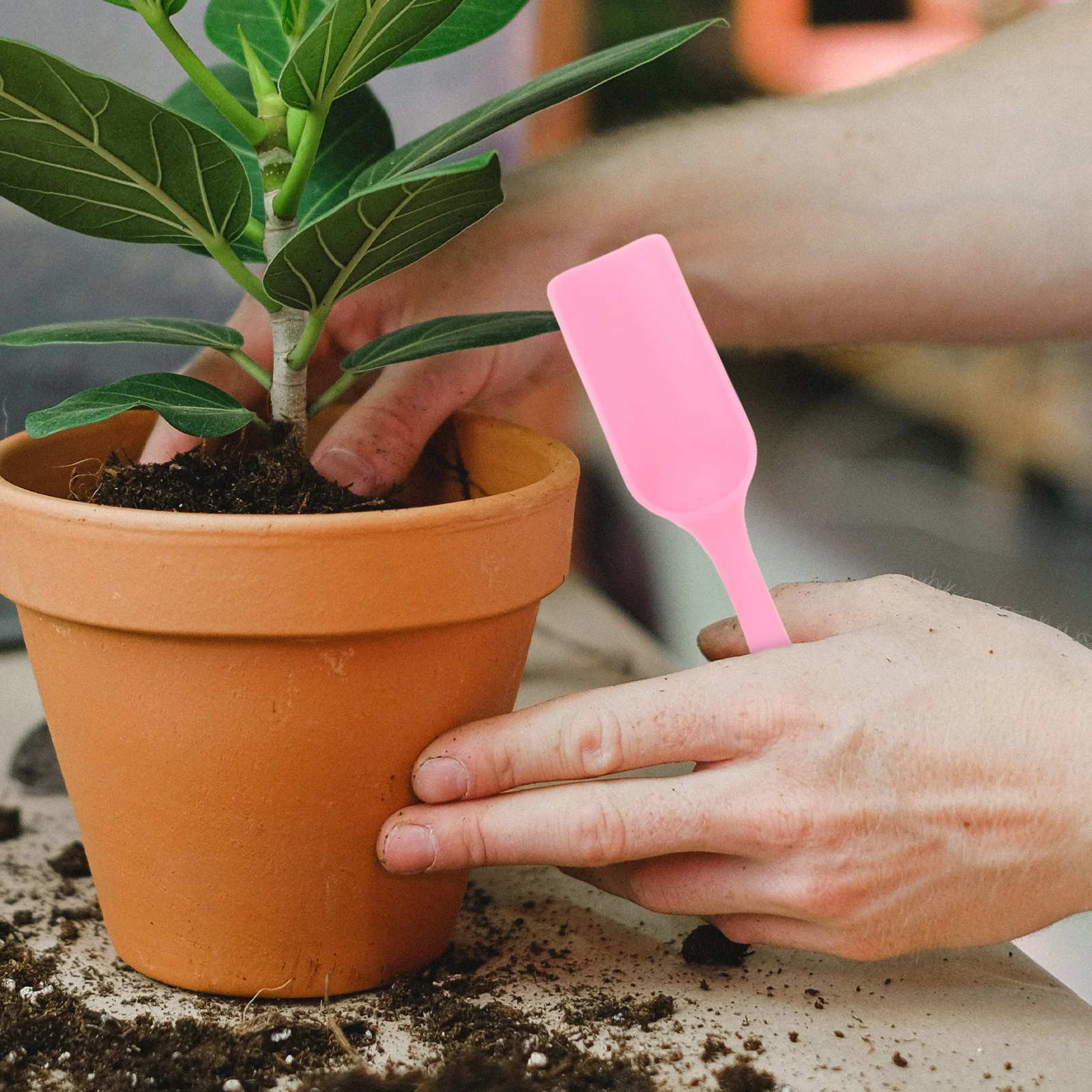 

1 Multifunctional Gardening Tools Set Soil Scoop Bucket Shovel Transplanting Tool Hole Puncher Durable Mini Succulent Vegetable