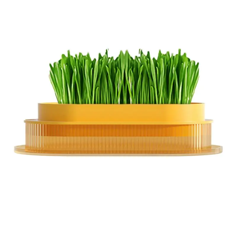 Cat Grass Pot Indoor Cat Grass Plant Box Safe Hydroponic Cat Grass Planter Transparent Cat Grass Basin For Indoor Cats