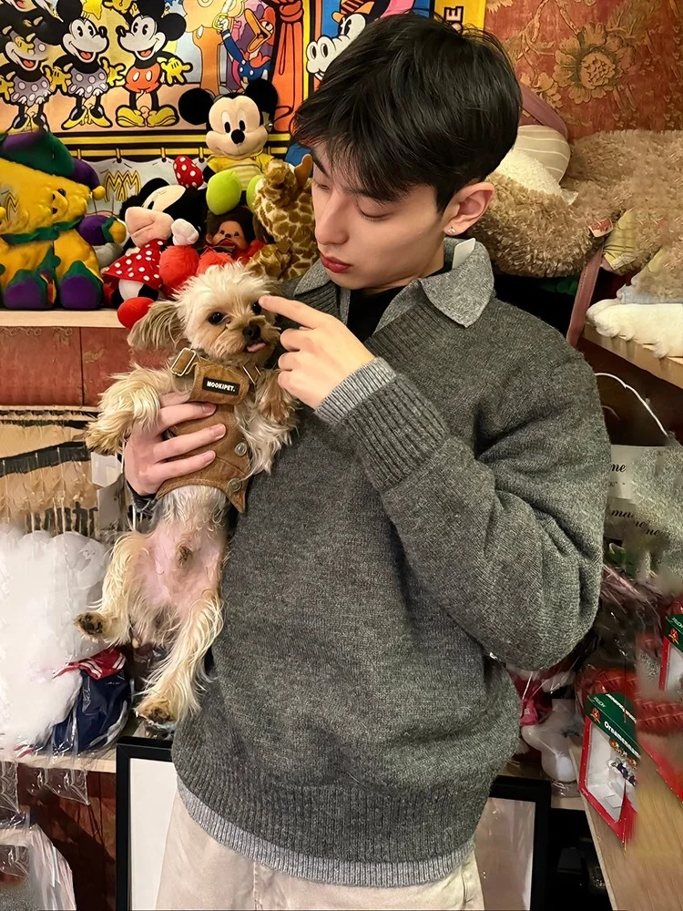 

Мужской вязаный свитер с V-образным вырезом, свободного кроя, для зимы, повседневный, из полиэфирного волокна, с длинными рукавами, мягкий и комфортный материал