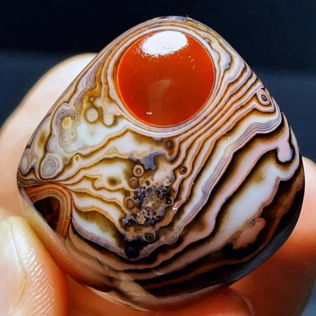 Natural Banded Agate Mountain Gem, Polished Tumbled, Loose Gemstone, Vase Filler, Crystal Collection, Table Display