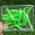 GD26 20pcs 03