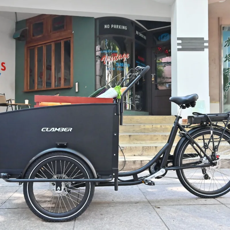 EU Warehouse 26 Inch 3-Wheel Cargo Electric Bike with Rear Hub 36V 250W Motor Steel Frame Carry Kids and Goods