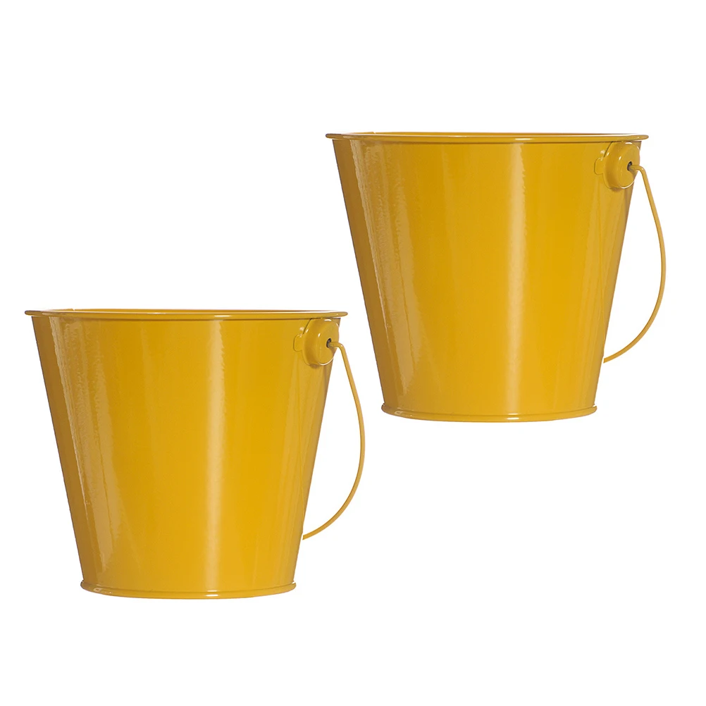 

Small Tin Bucket Garden Metal Pail Buckets Pails Flower Container Cute Decorative