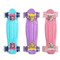 Penny Board for Children,  Long Board, Mini Skateboard, Flash Wheel, Plastic Outdoor Fish Board, Sport Toy Scooter, 22Inch