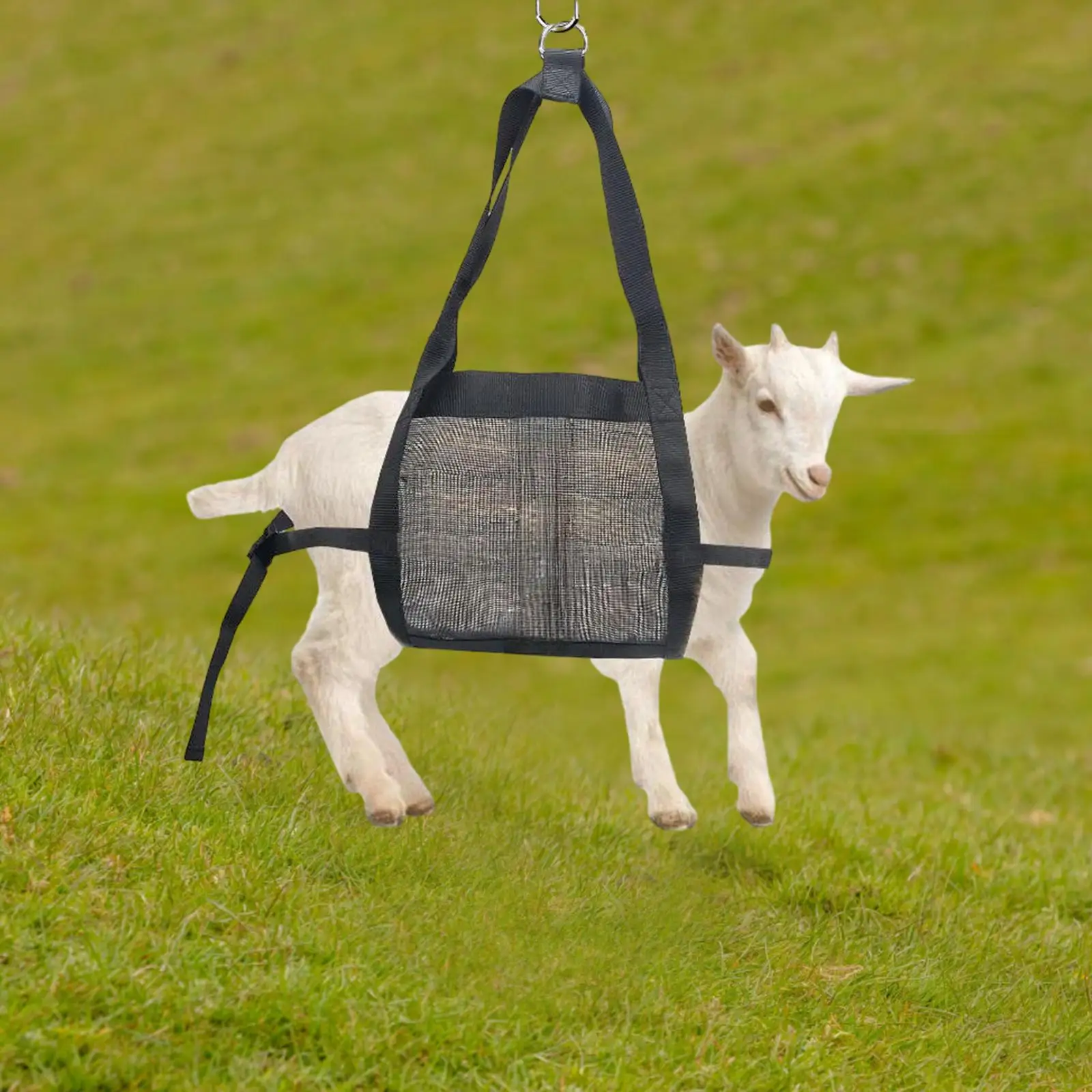 Hanging Scale Sling Animal Weighing Sling Weight Scale Sling, Livestock Weighing Strap for Newborn Farm Animals, Calves, Goats