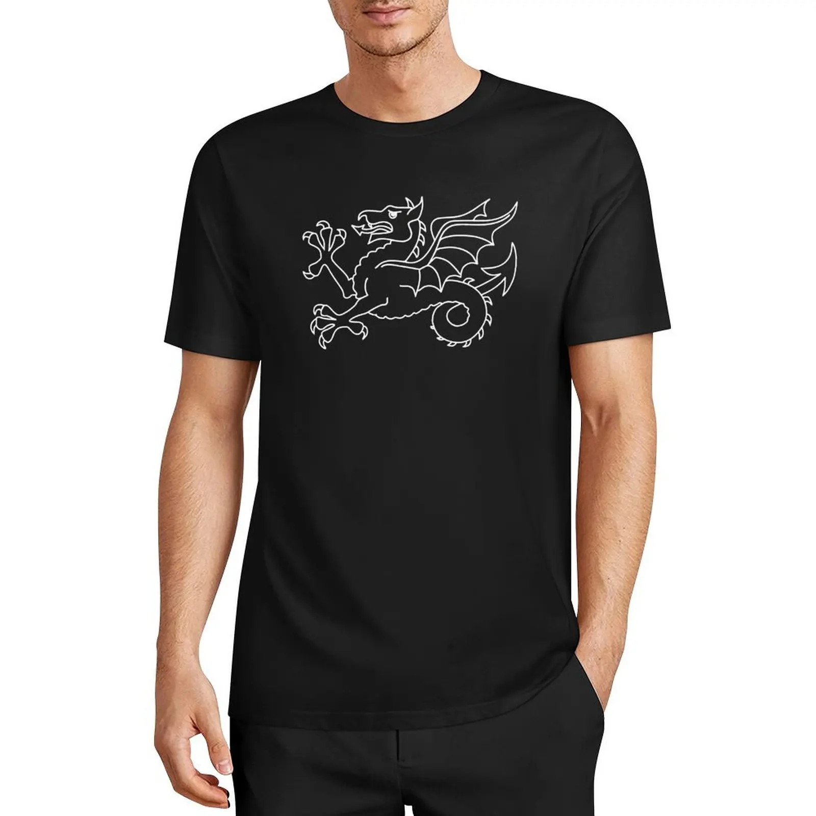 

England Medieval Britain Ancient Dragon Wessex Wyvern Anglo T-Shirt graphic t shirt vintage sublime Men's cotton t-shirt