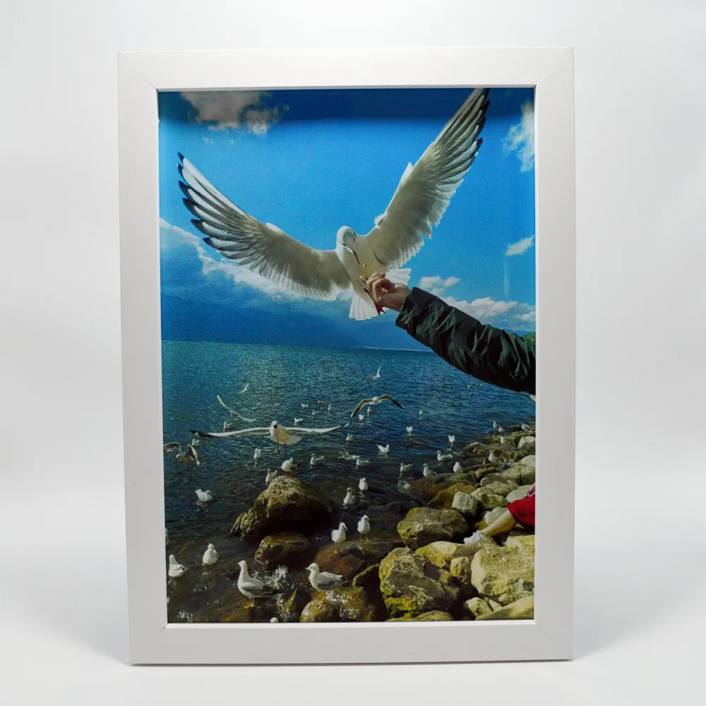 Eye-catching seagull beautiful scenery Art Poster Wall Chart - Vintage Wall Painting Holographic Vinyl Stickers for Wall Decor