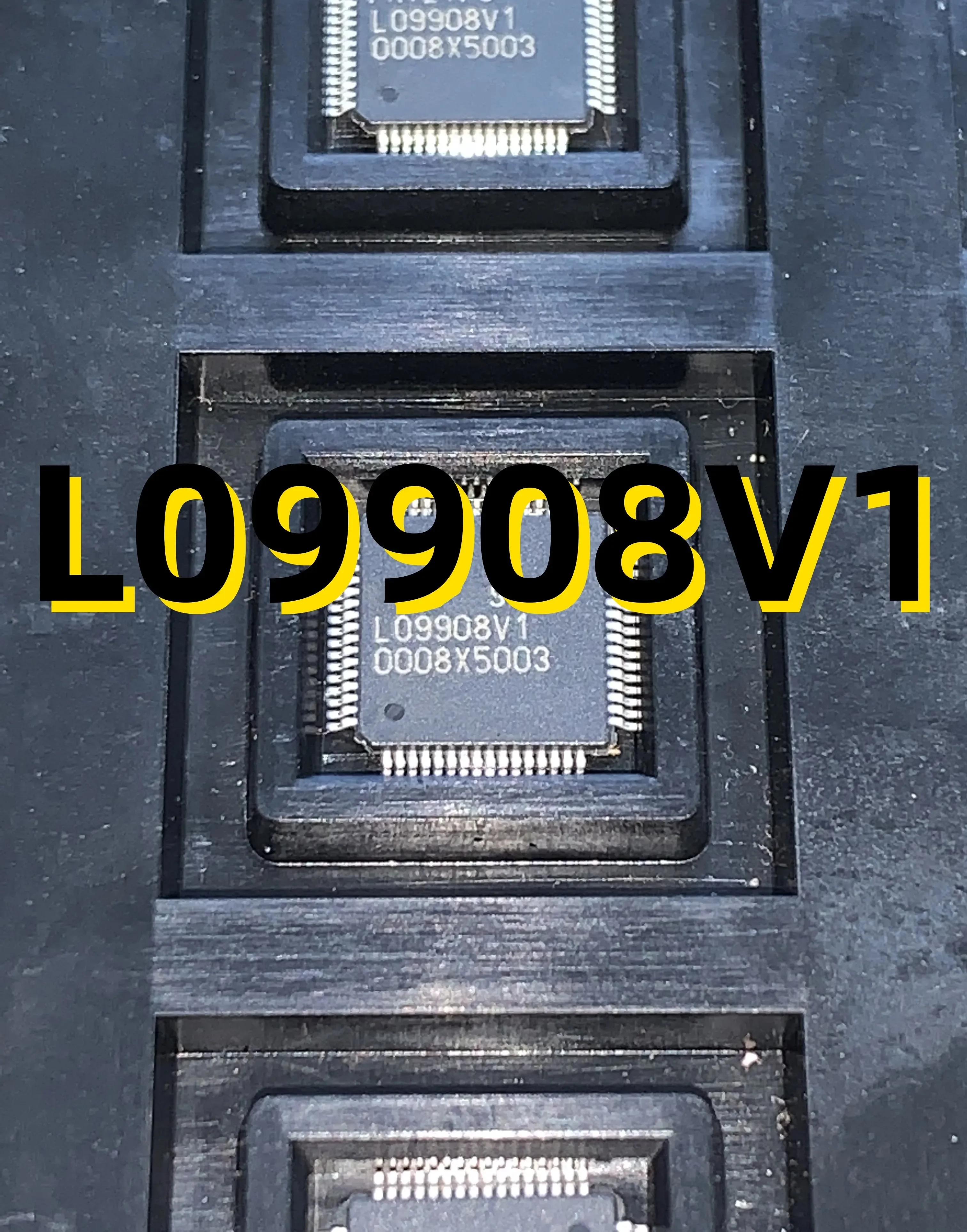 

L09908V1