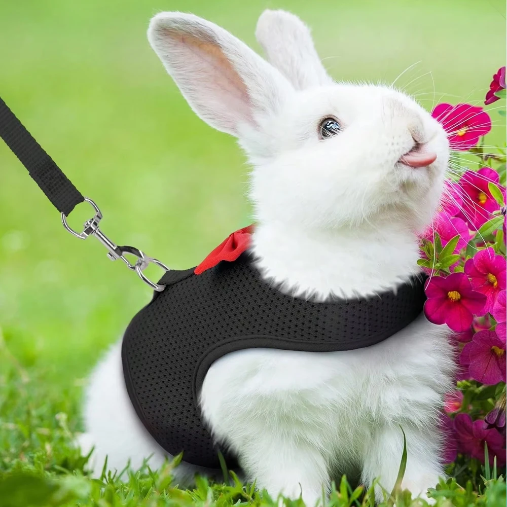 1 verstellbares Kaninchengeschirr mit Leine, atmungsaktive Netzweste und Leine für Kaninchen, Hamster und Katzen, geeignet für den Außengebrauch mit kleinen Tieren. – Detail 1