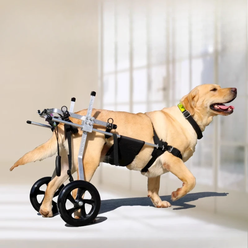 Pet Dog Hind Leg Rehabilitation Wheelchair Large Size Mobility Support for Spondylitis Teddy Dog Walking Aid