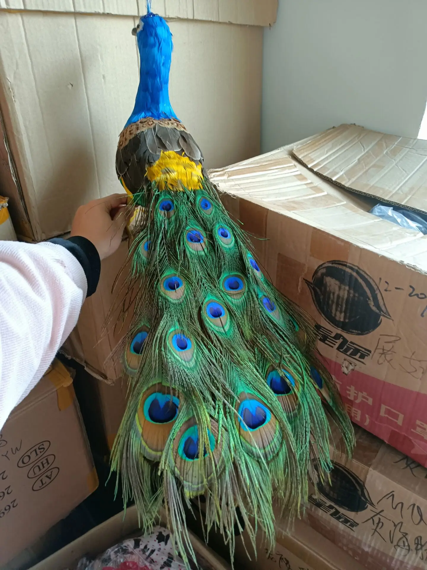 

new simulation foam&feather peacock model garden decoration gift about 60cm p2696