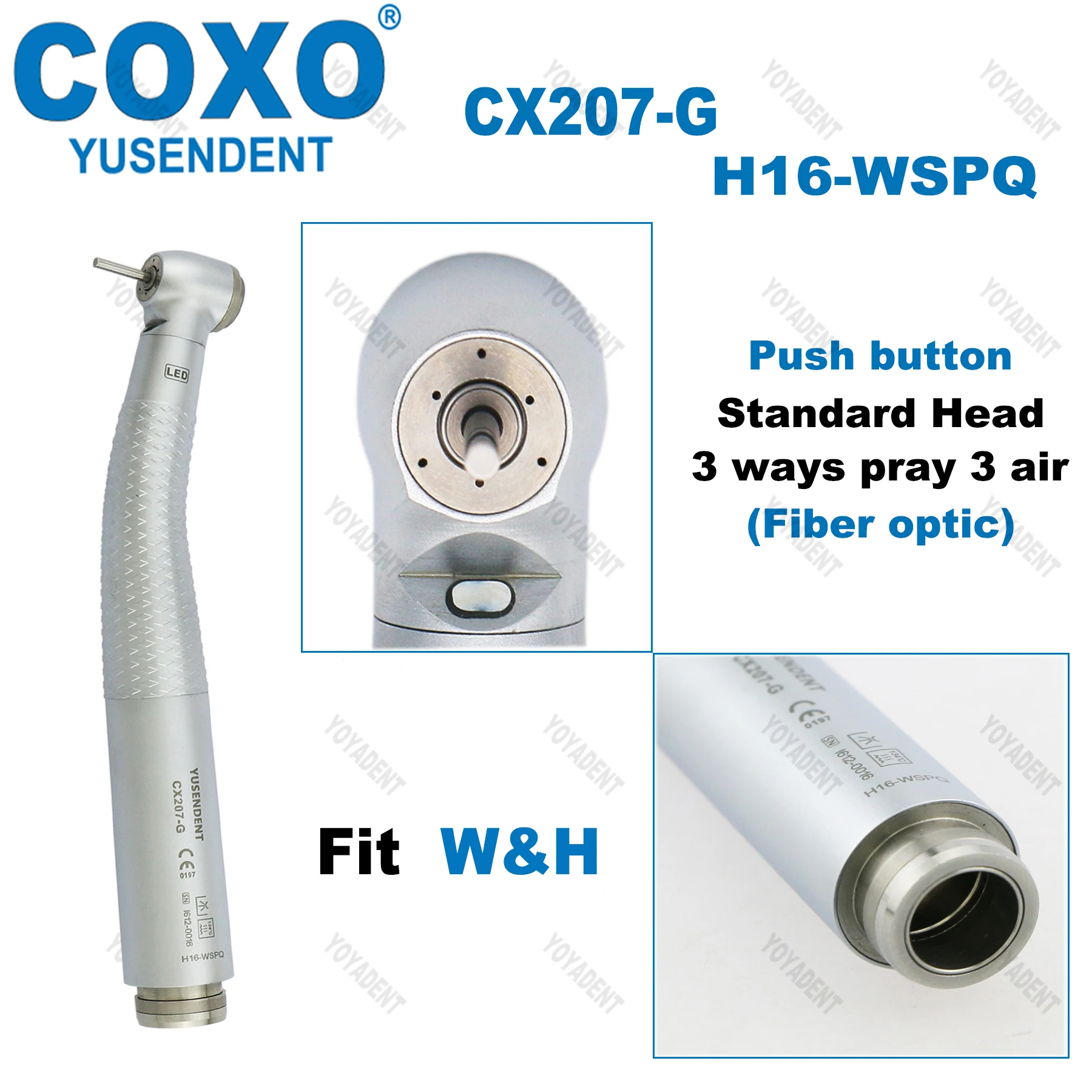 COXO Końcówka stomatologiczna Turbiny Końcówka światłowodowa o dużej prędkości Wirnik powietrza Standard/Torque Head LED Coupler 6-pin Fit WH