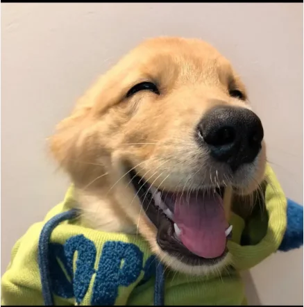 

Electrical Power Supplies Mixing high-power inverter