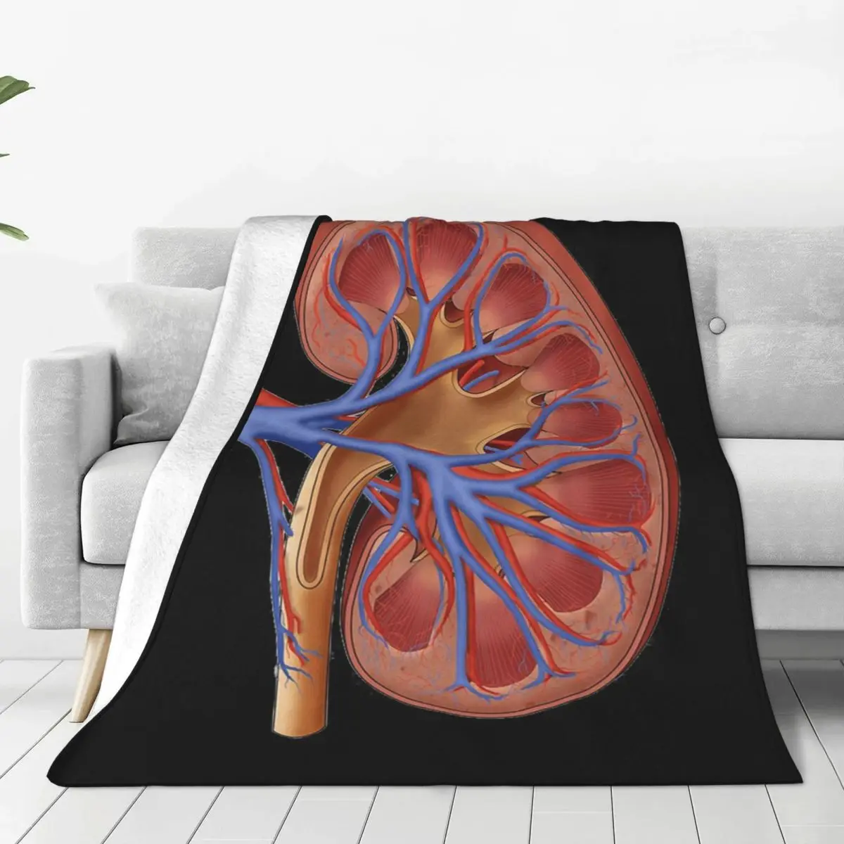 Medical Illustration Of Kidney Anatomy Blanket Flannel Throw Blanket Bedspread for Bed Living room Picnic Travel Home Sofa