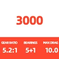 3000