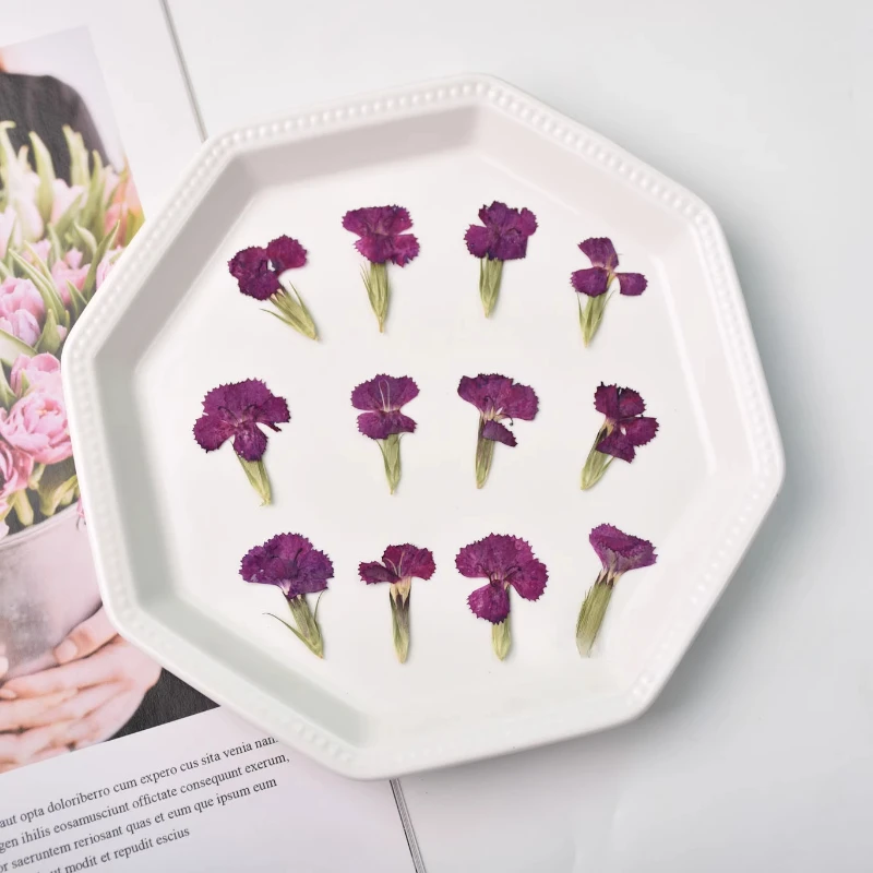 24 Stück/2–3 cm, Natur Nelke getrocknete Blume geprägte Akazie Pflaume echte Blume dekorative Fotorahmen DIY Epoxid Schmuck Blütenblatt Make-up – Detail 3