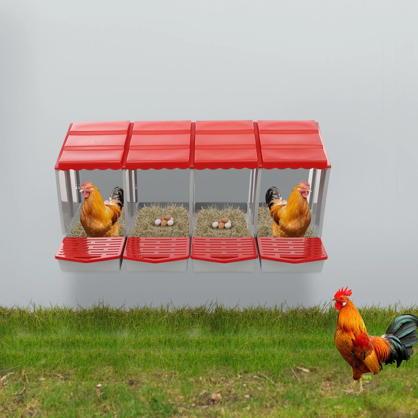 Scatola per nido di pollo rossa a 4 griglie per deposito uova di gallina Scatola per nidificazione di pollo a 4 scomparti Scatola per deposito di polli con raccolta di uova per galline