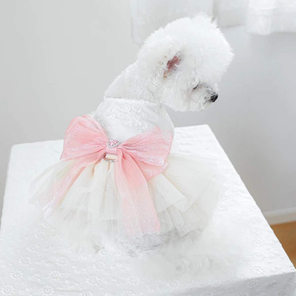 1PC Pet Clothing Cat Spring/Summer Thin White Micro Wedding Dress Princess Dress Suitable for Small and Medium Dogs