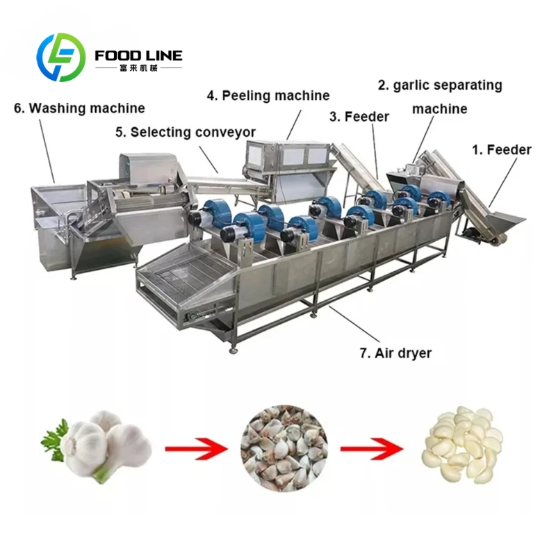 Customized Stainless Steel Garlic Peeling Production Line with High Peeling Rate for Food Factory Garlic Peeling Machine
