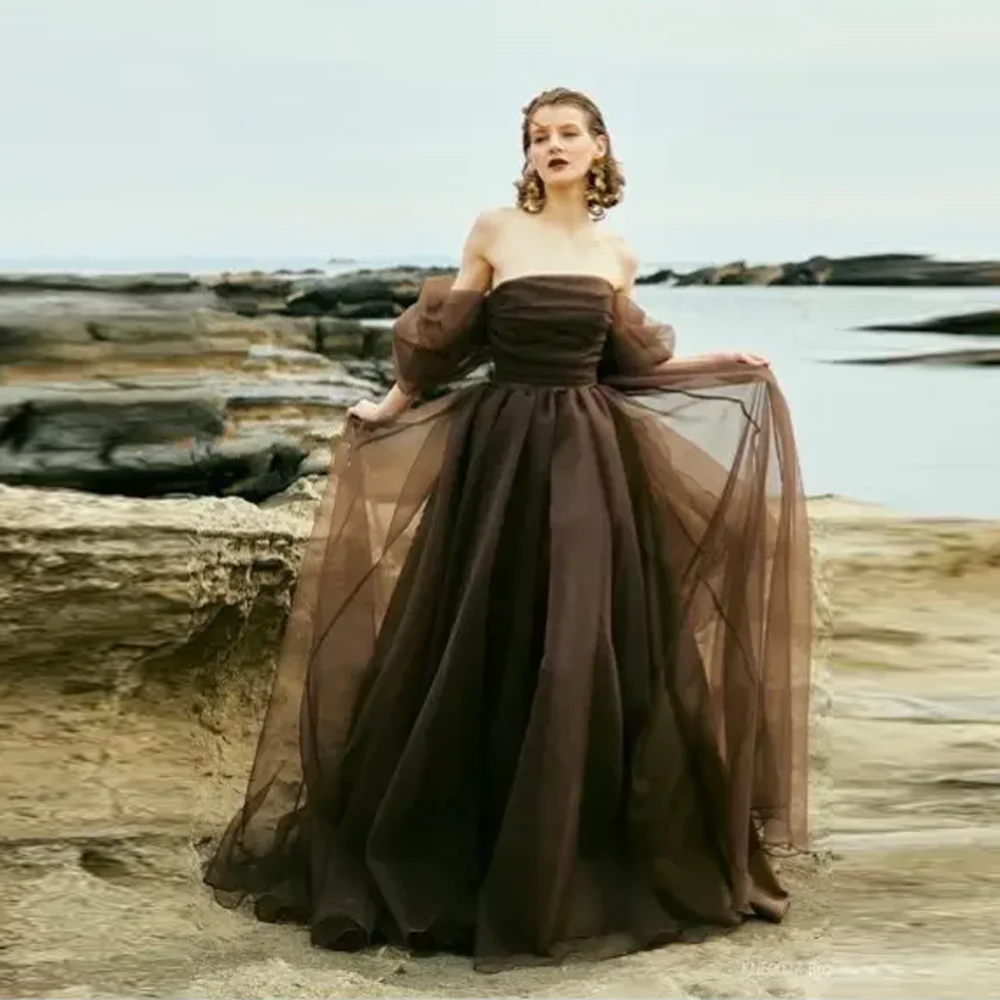 Dark Chocolate Brown Organza Long Women Dresses To Photoshoots Colored Bridal Dress With Oversize Bow Back Long Robe