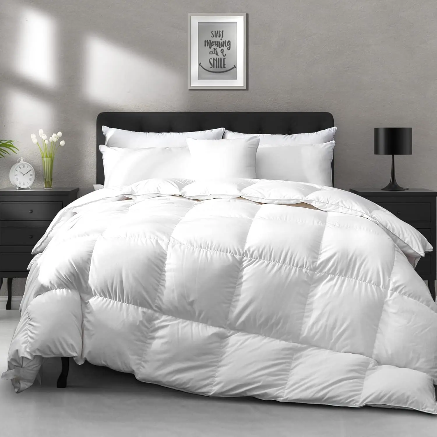 All Season Goose Feathers Down Comforter Full/Queen Size Duvet Insert - 100% Organic Cotton, 750 Fill Power